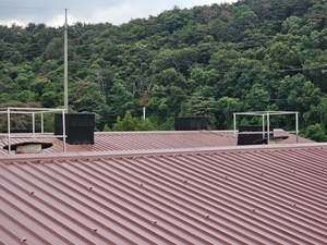 경북경주시 D농장